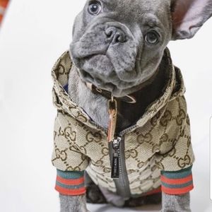 Poochi (Gucci) dog legend jacket